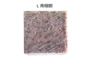 生牌 南極蝦 L (1.5kg)