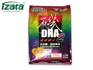 磯DNA-2全泳層攻略